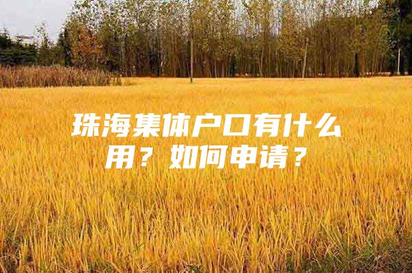 珠海集体户口有什么用？如何申请？