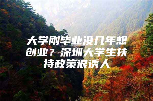 大学刚毕业没几年想创业？深圳大学生扶持政策很诱人