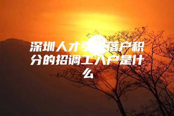 深圳人才引进落户积分的招调工入户是什么
