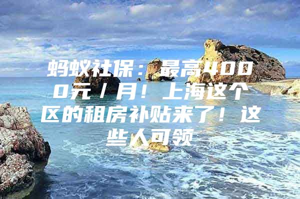 蚂蚁社保：最高4000元／月！上海这个区的租房补贴来了！这些人可领