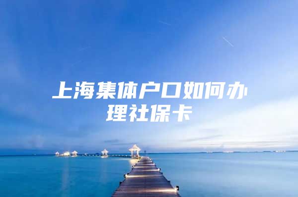 上海集体户口如何办理社保卡
