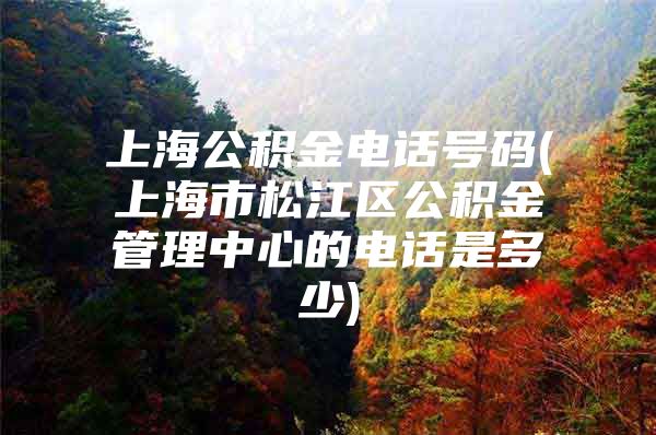 上海公积金电话号码(上海市松江区公积金管理中心的电话是多少)
