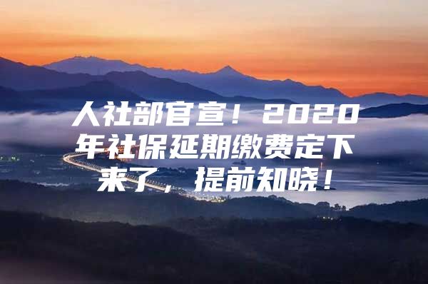 人社部官宣！2020年社保延期缴费定下来了，提前知晓！