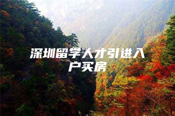 深圳留学人才引进入户买房