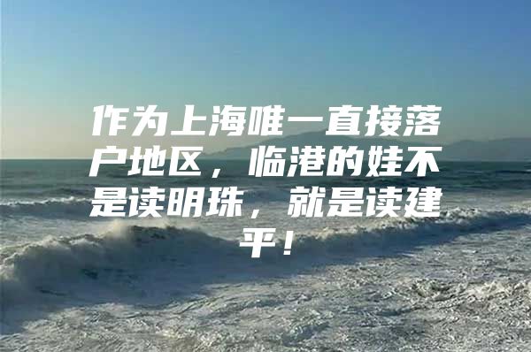 作为上海唯一直接落户地区，临港的娃不是读明珠，就是读建平！