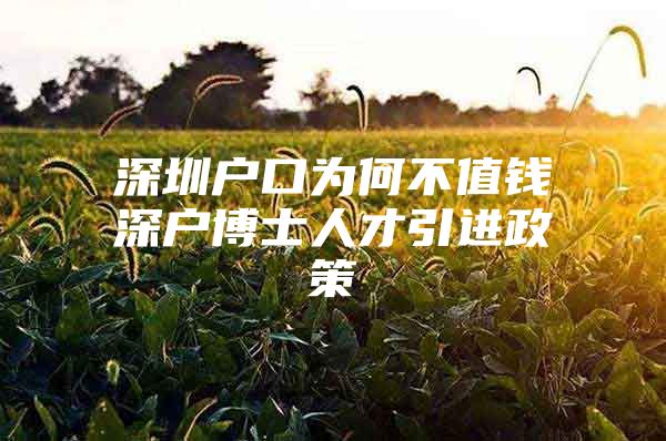 深圳户口为何不值钱深户博士人才引进政策