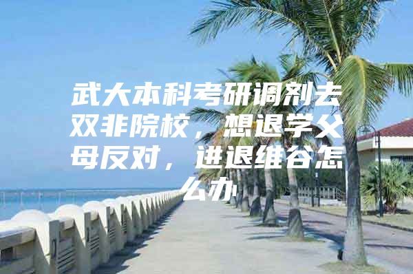 武大本科考研调剂去双非院校，想退学父母反对，进退维谷怎么办