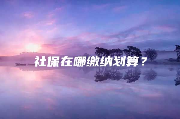 社保在哪缴纳划算？