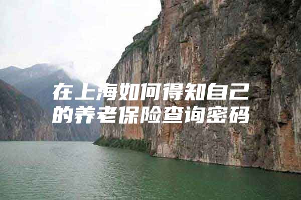 在上海如何得知自己的养老保险查询密码