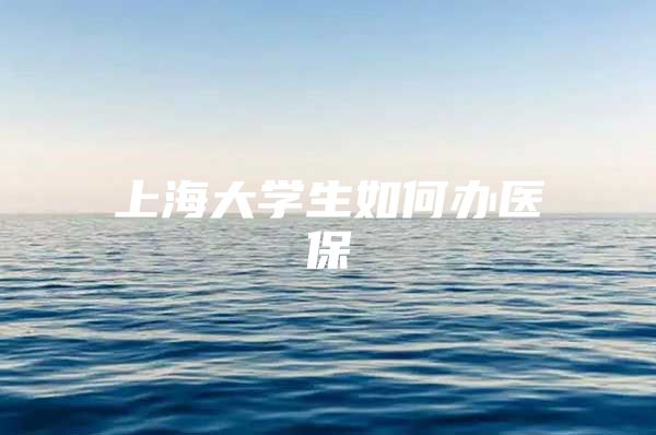 上海大学生如何办医保