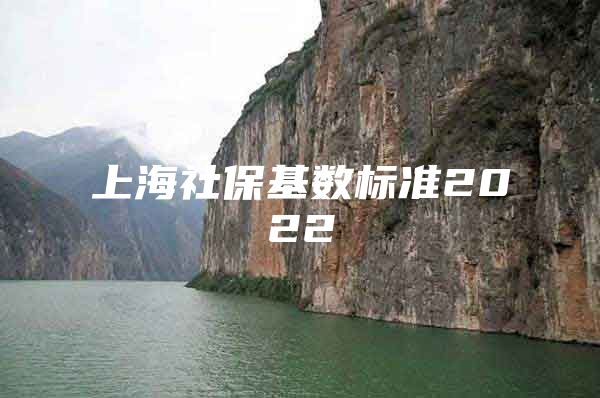 上海社保基数标准2022