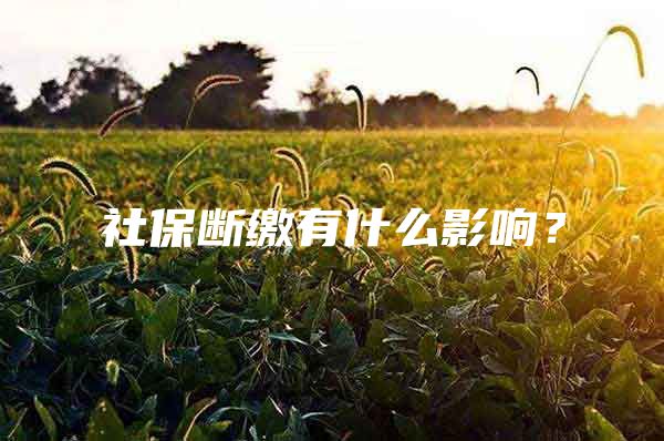 社保断缴有什么影响？