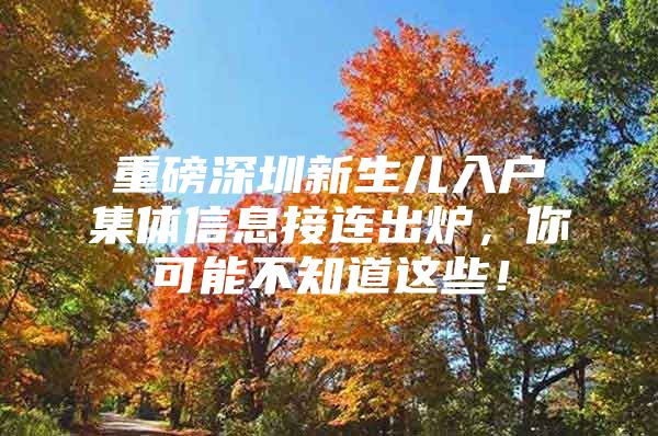重磅深圳新生儿入户集体信息接连出炉，你可能不知道这些！