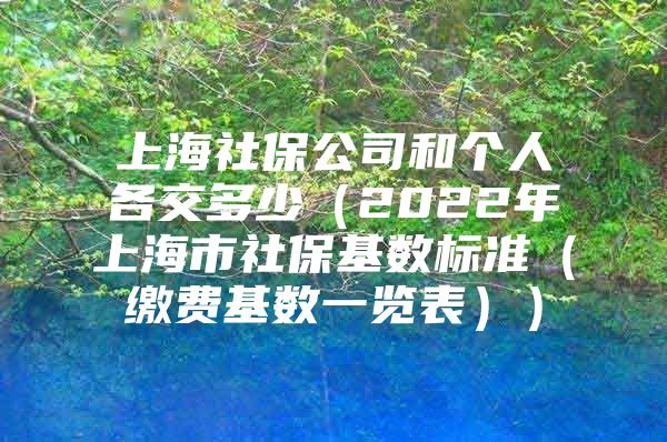 上海社保公司和个人各交多少（2022年上海市社保基数标准（缴费基数一览表））