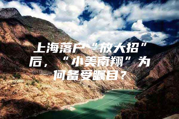 上海落户“放大招”后，“小美南翔”为何备受瞩目？