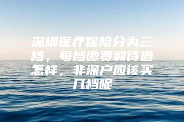 深圳医疗保险分为三档，每档缴费和待遇怎样，非深户应该买几档呢