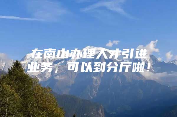 在南山办理人才引进业务，可以到分厅啦！