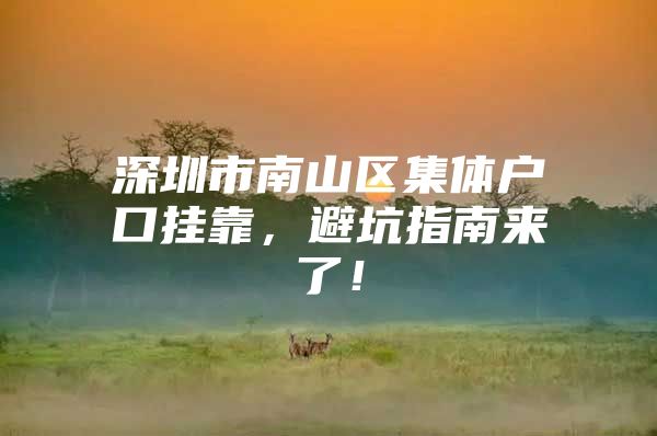深圳市南山区集体户口挂靠，避坑指南来了！