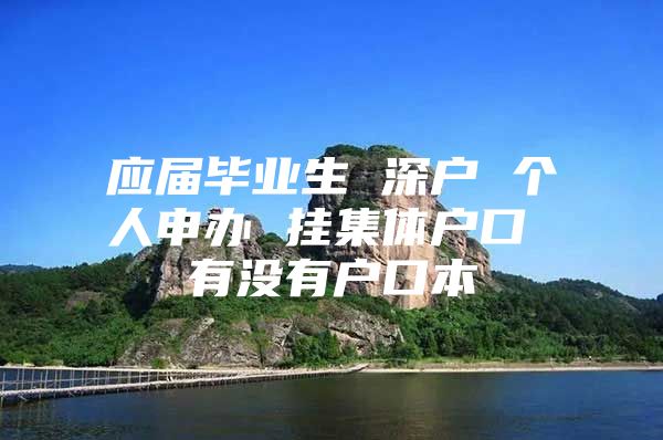 应届毕业生 深户 个人申办 挂集体户口 有没有户口本