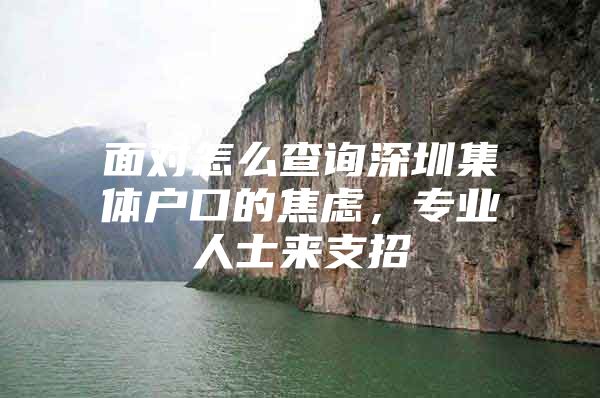 面对怎么查询深圳集体户口的焦虑，专业人士来支招