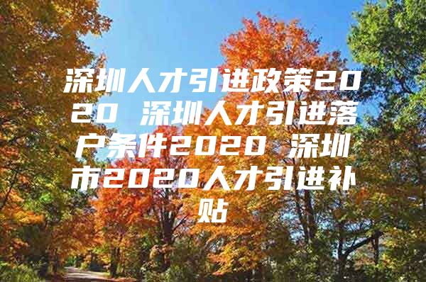 深圳人才引进政策2020 深圳人才引进落户条件2020 深圳市2020人才引进补贴