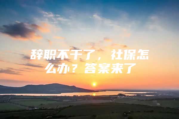 辞职不干了，社保怎么办？答案来了