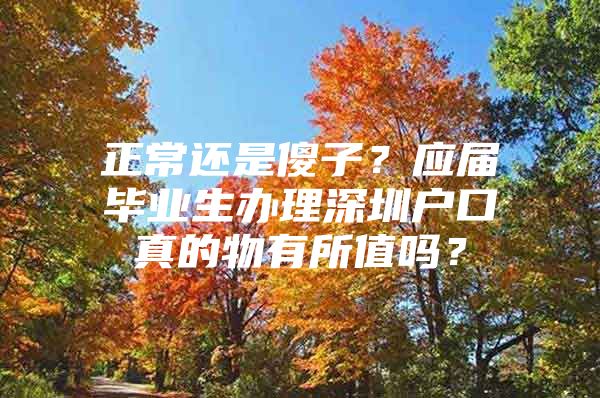正常还是傻子？应届毕业生办理深圳户口真的物有所值吗？