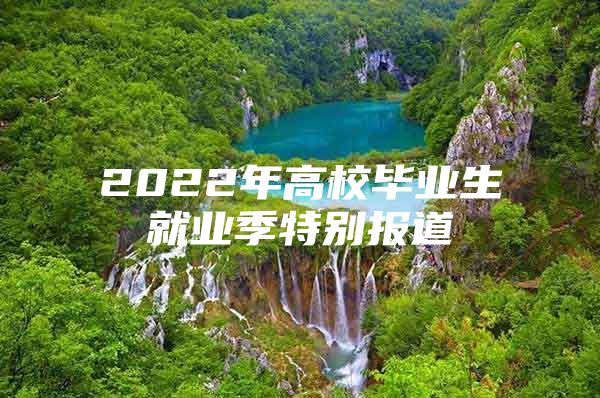 2022年高校毕业生就业季特别报道③