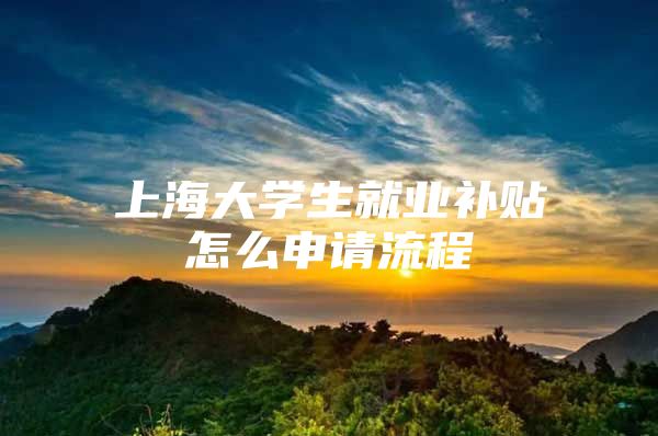 上海大学生就业补贴怎么申请流程