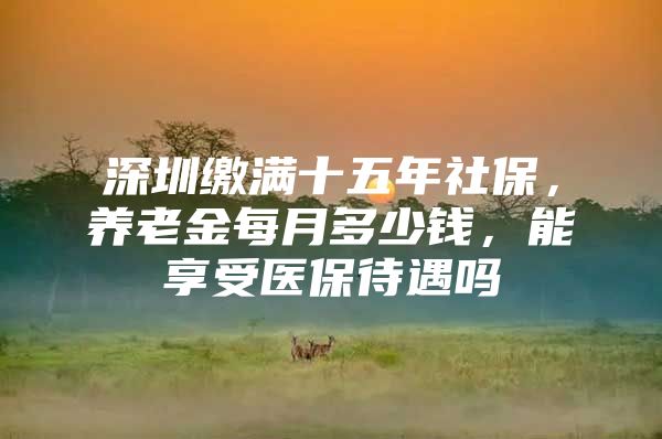深圳缴满十五年社保，养老金每月多少钱，能享受医保待遇吗