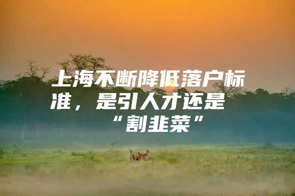 上海不断降低落户标准，是引人才还是“割韭菜”