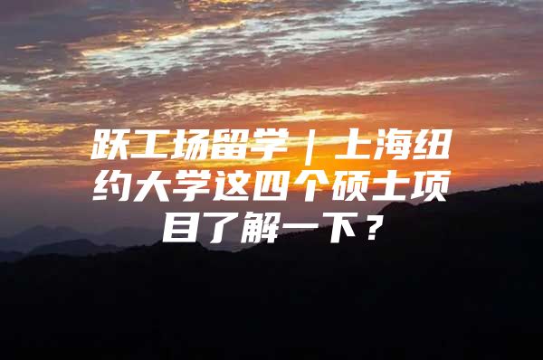 跃工场留学｜上海纽约大学这四个硕士项目了解一下？