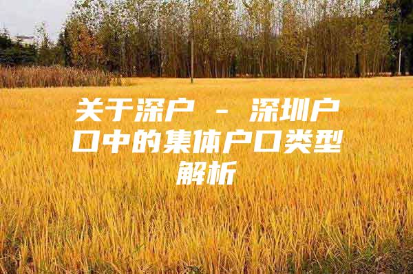 关于深户 - 深圳户口中的集体户口类型解析