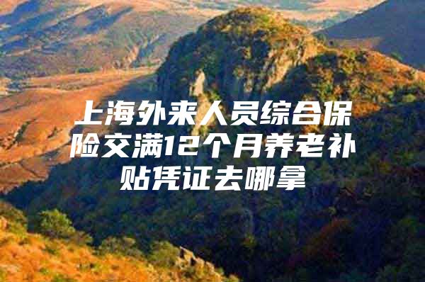 上海外来人员综合保险交满12个月养老补贴凭证去哪拿