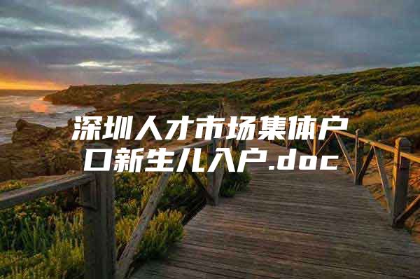 深圳人才市场集体户口新生儿入户.doc