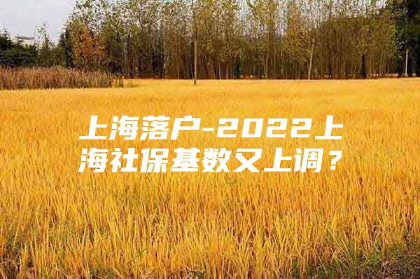上海落户-2022上海社保基数又上调？