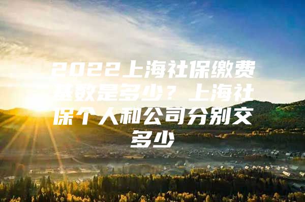 2022上海社保缴费基数是多少？上海社保个人和公司分别交多少