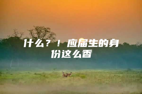 什么？！应届生的身份这么香