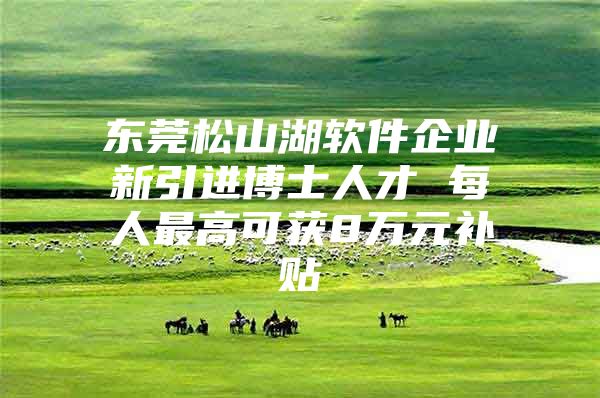 东莞松山湖软件企业新引进博士人才 每人最高可获8万元补贴
