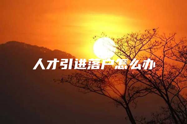 人才引进落户怎么办