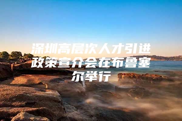 深圳高层次人才引进政策宣介会在布鲁塞尔举行