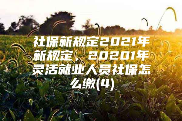 社保新规定2021年新规定，20201年灵活就业人员社保怎么缴(4)