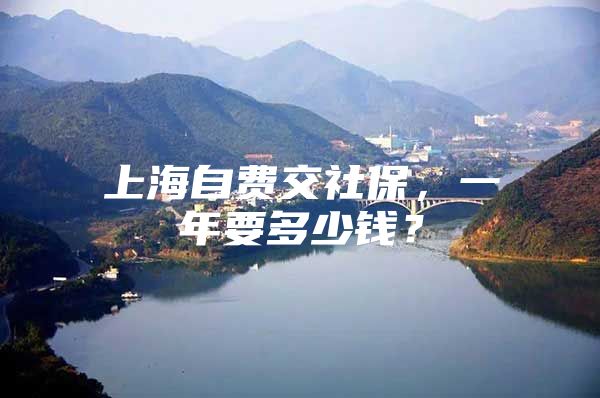 上海自费交社保，一年要多少钱？