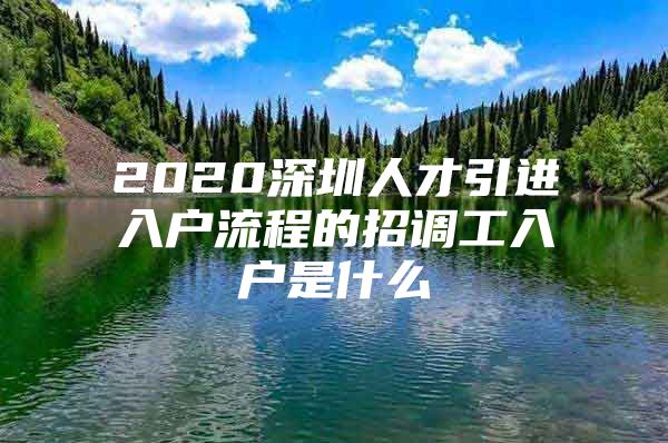 2020深圳人才引进入户流程的招调工入户是什么