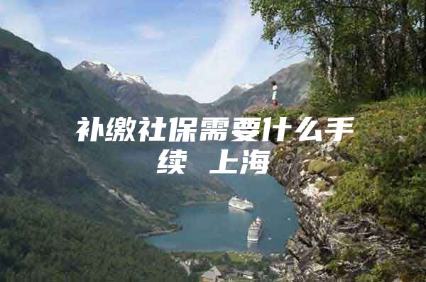 补缴社保需要什么手续 上海