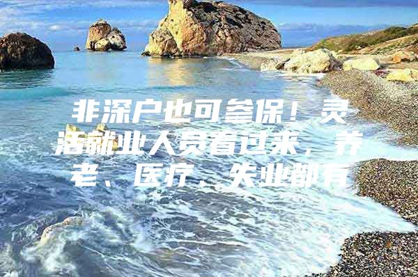 非深户也可参保！灵活就业人员看过来，养老、医疗、失业都有