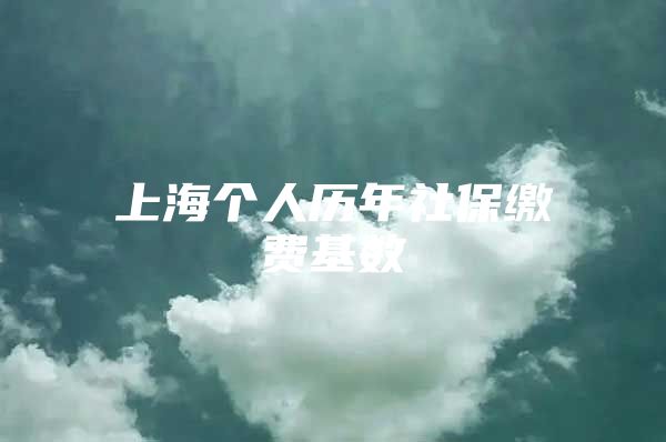 上海个人历年社保缴费基数