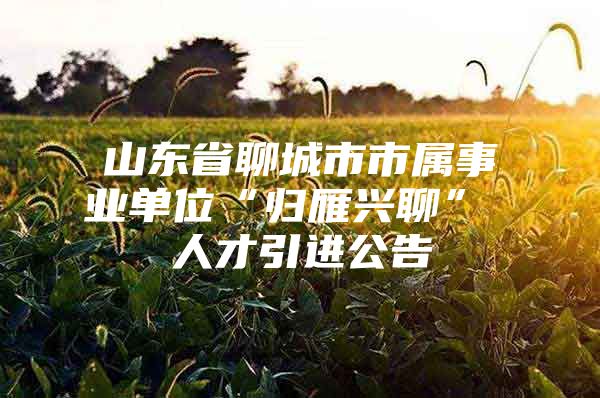 山东省聊城市市属事业单位“归雁兴聊” 人才引进公告