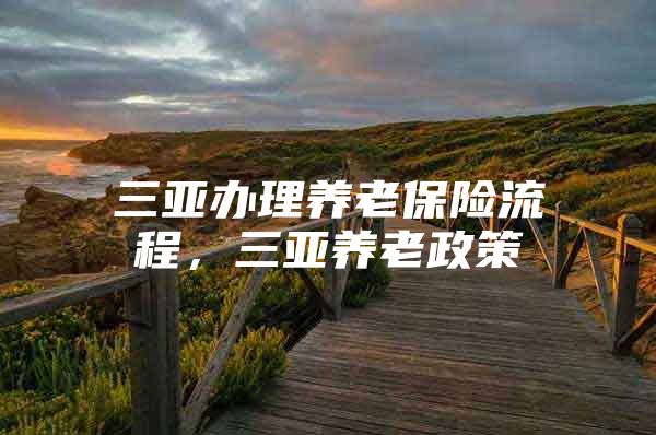 三亚办理养老保险流程，三亚养老政策