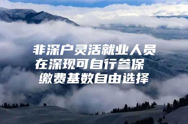非深户灵活就业人员在深现可自行参保 缴费基数自由选择